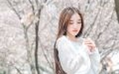 怡春院久久国语视频免费